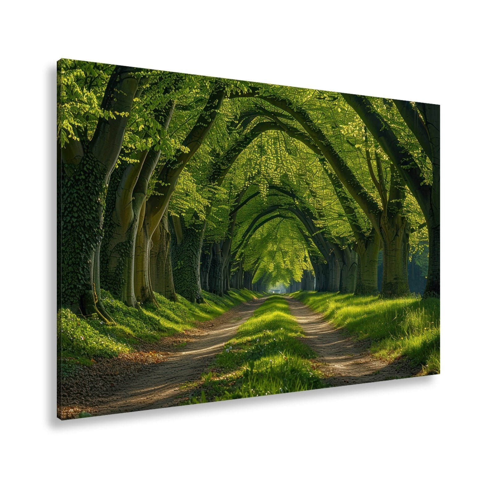Leinwandbild Ein grüner Tunnel – Natur formt ein lebendiges Gewölbe. - deyoli
