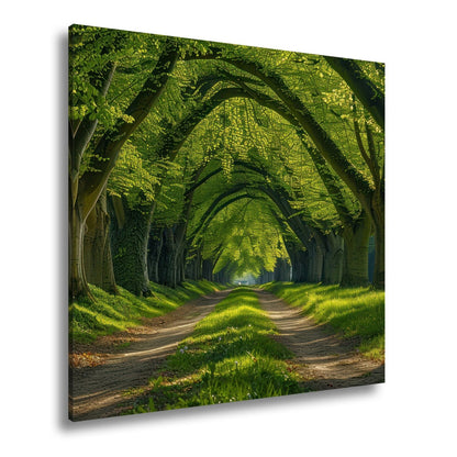 Leinwandbild Ein grüner Tunnel – Natur formt ein lebendiges Gewölbe. - deyoli