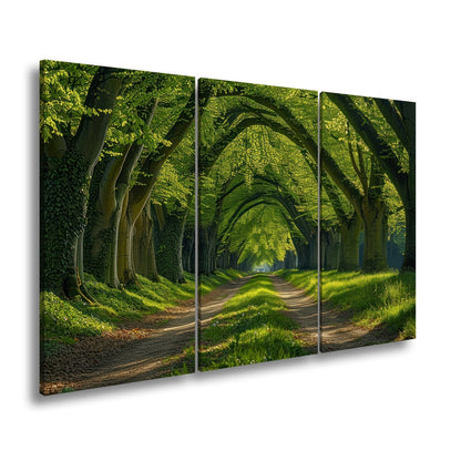 Leinwandbild Ein grüner Tunnel – Natur formt ein lebendiges Gewölbe. - deyoli
