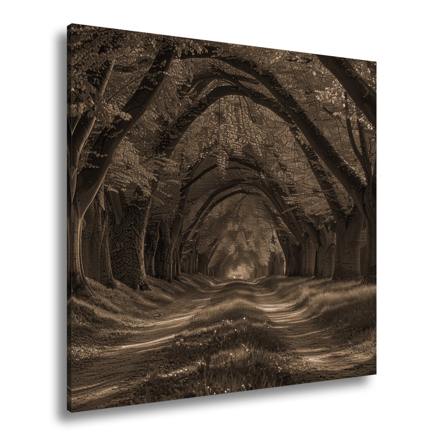 Leinwandbild Ein grüner Tunnel – Natur formt ein lebendiges Gewölbe. - deyoli