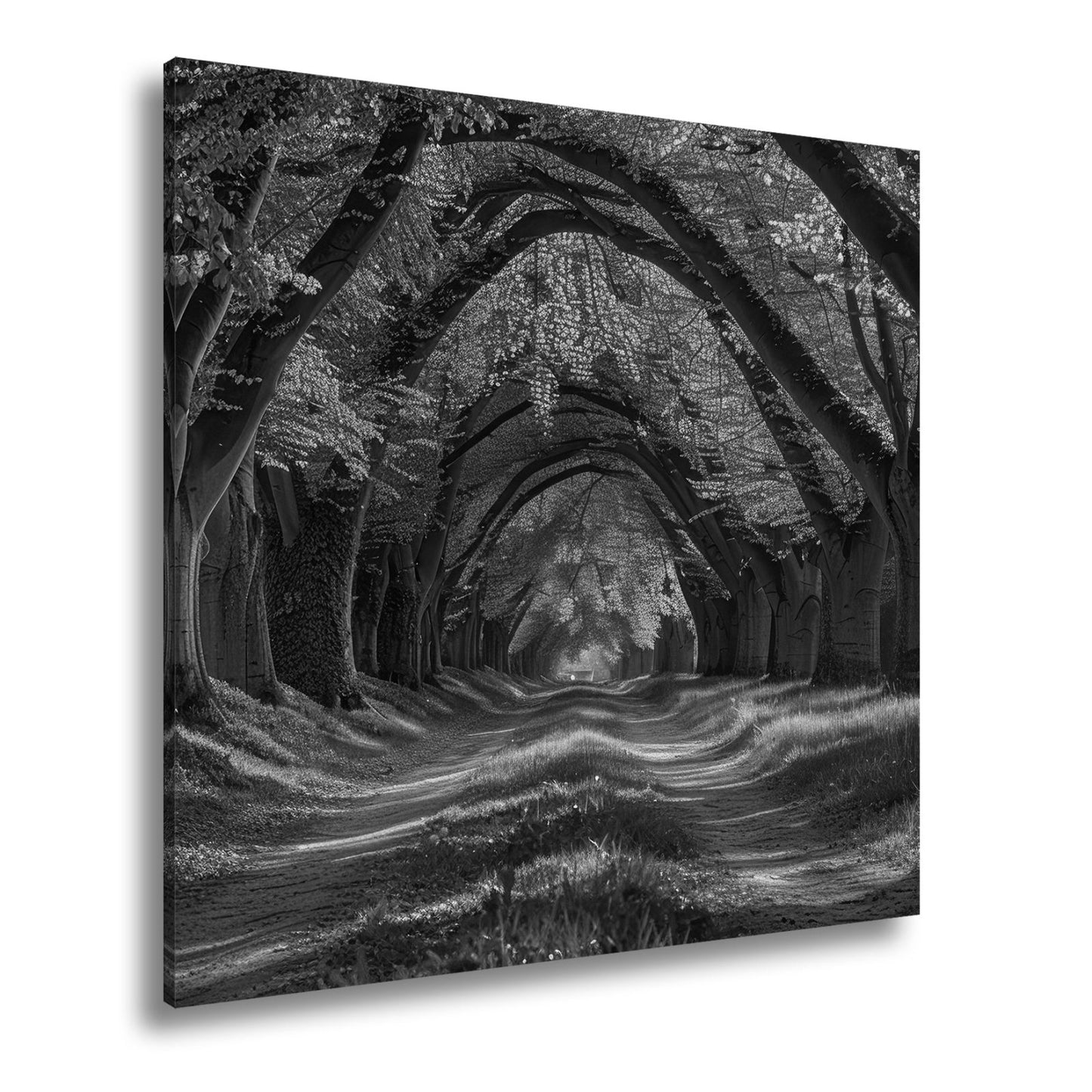 Leinwandbild Ein grüner Tunnel – Natur formt ein lebendiges Gewölbe. - deyoli