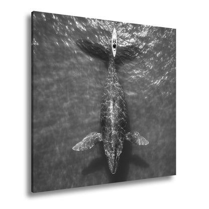 Leinwandbild Ein Kajak gleitet, ein Wal ruht – Stille in Blau. - deyoli