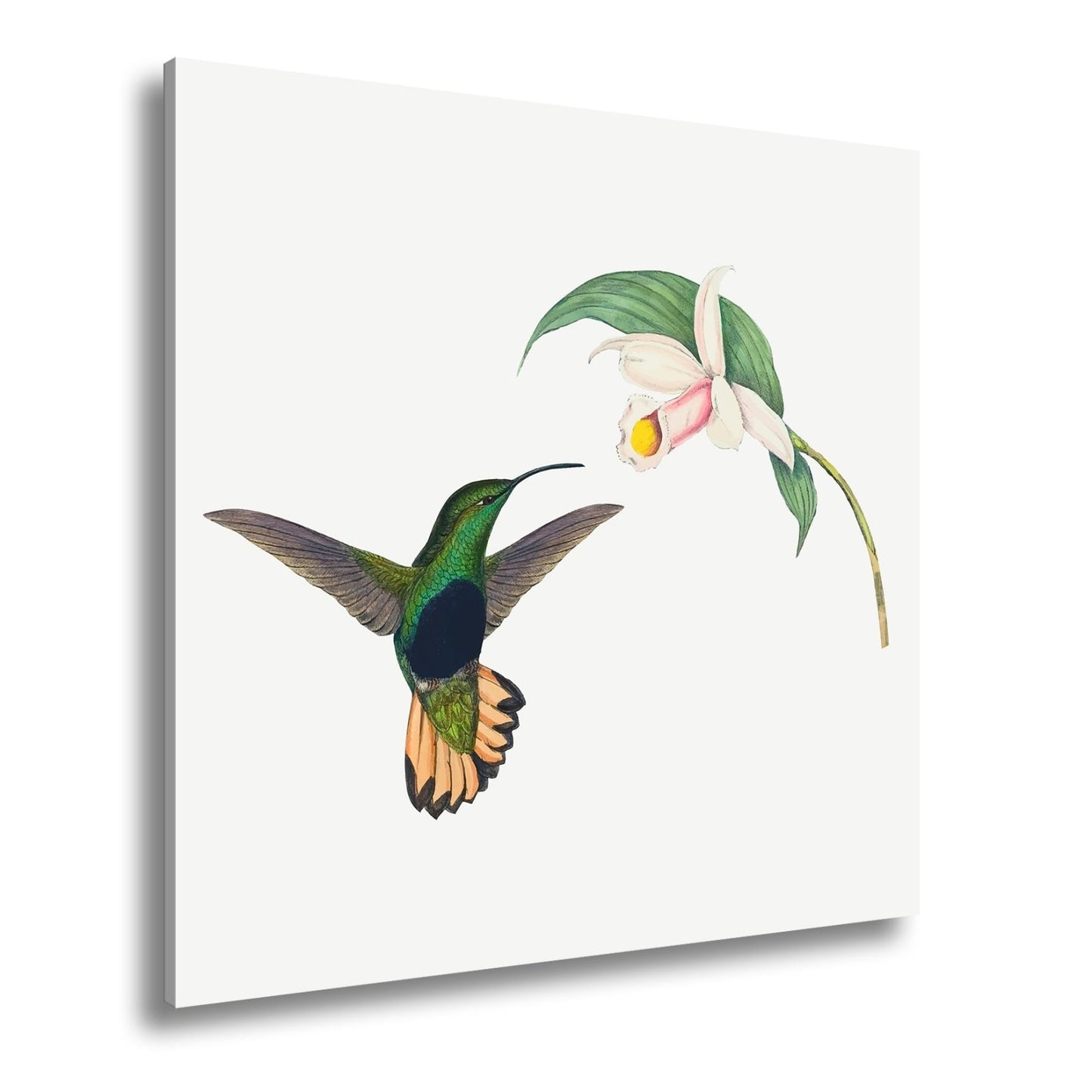 Leinwandbild Ein Kolibri schwebt zum Blütenlicht – pure, lebendige Poesie - deyoli