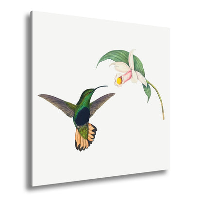 Leinwandbild Ein Kolibri schwebt zum Blütenlicht – pure, lebendige Poesie - deyoli