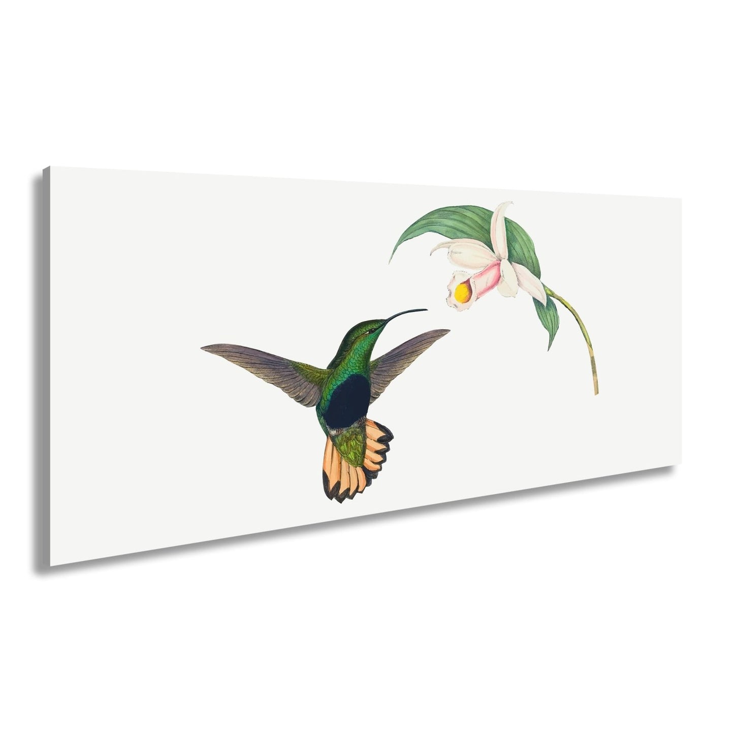 Leinwandbild Ein Kolibri schwebt zum Blütenlicht – pure, lebendige Poesie - deyoli