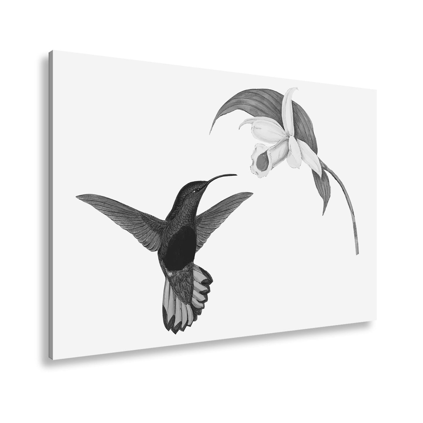 Leinwandbild Ein Kolibri schwebt zum Blütenlicht – pure, lebendige Poesie - deyoli
