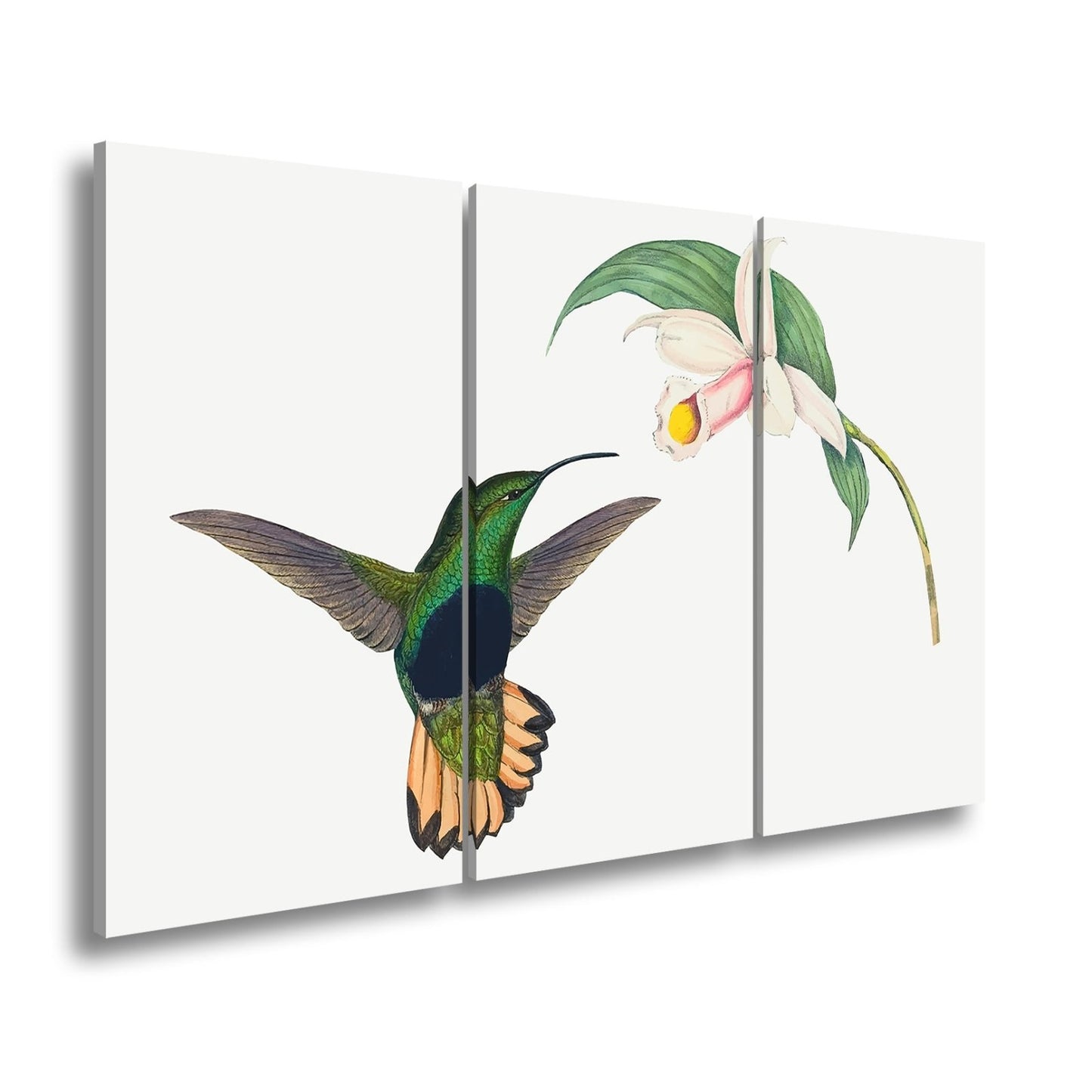 Leinwandbild Ein Kolibri schwebt zum Blütenlicht – pure, lebendige Poesie - deyoli