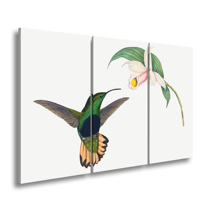 Leinwandbild Ein Kolibri schwebt zum Blütenlicht – pure, lebendige Poesie - deyoli