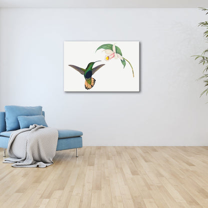 Leinwandbild Ein Kolibri schwebt zum Blütenlicht – pure, lebendige Poesie - deyoli