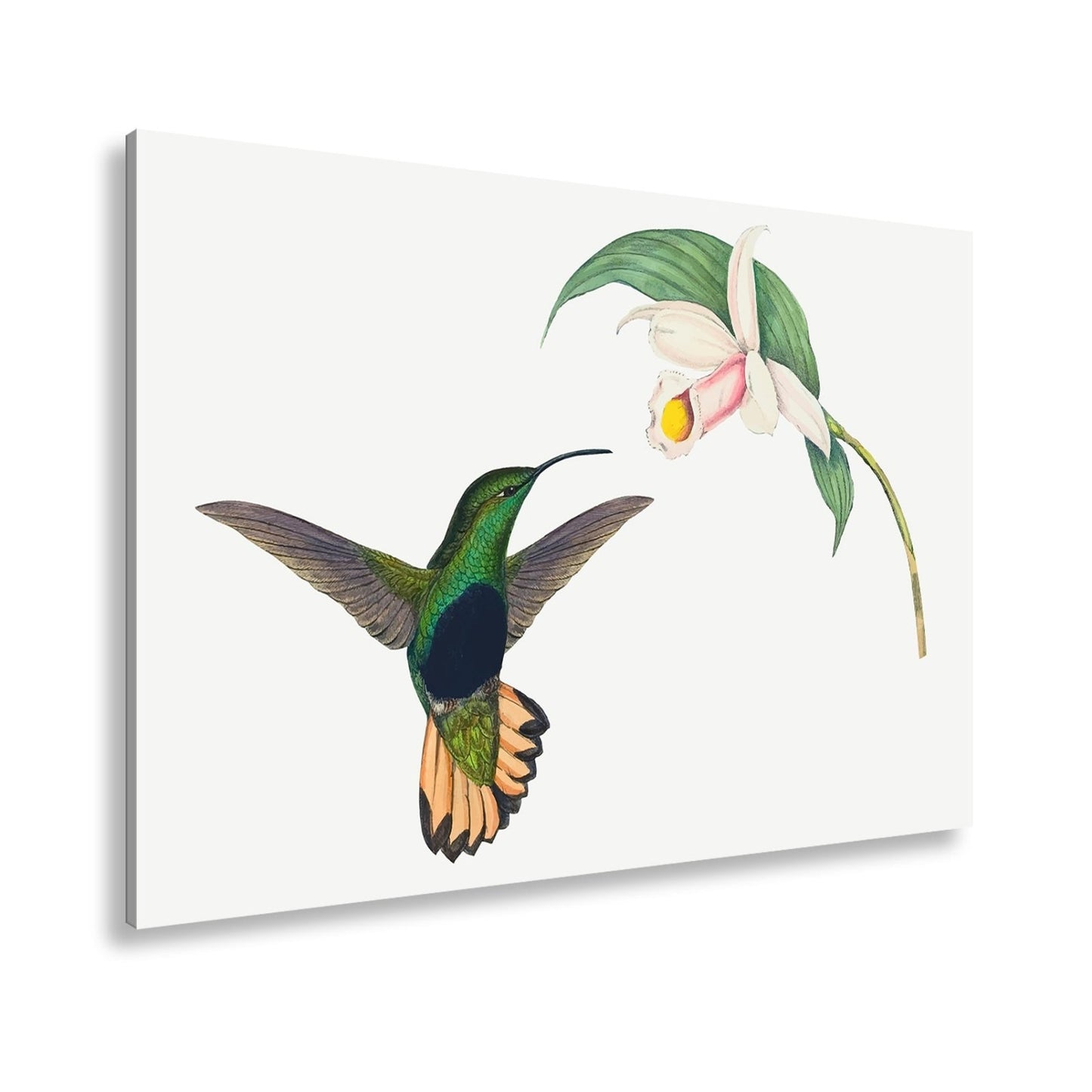 Leinwandbild Ein Kolibri schwebt zum Blütenlicht – pure, lebendige Poesie - deyoli