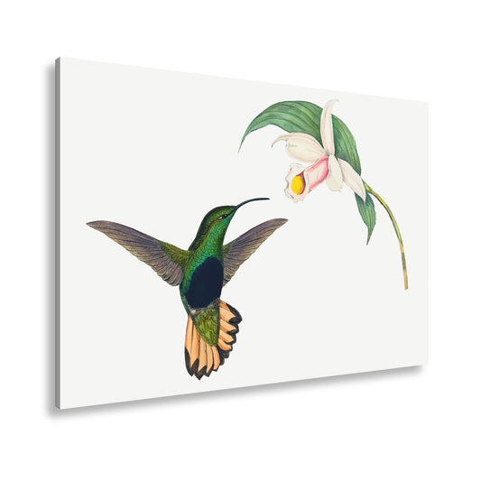 Leinwandbild Ein Kolibri schwebt zum Blütenlicht – pure, lebendige Poesie - deyoli
