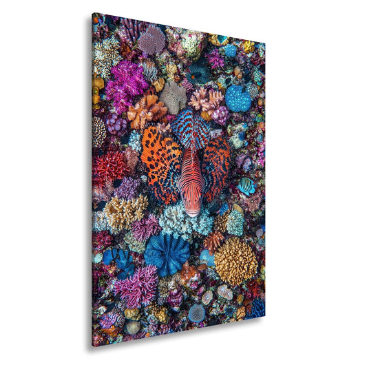 Leinwandbild Ein Korallenmeer in Farbenrausch und Formenpracht. - deyoli