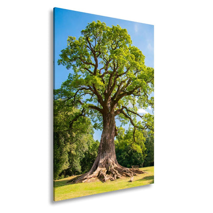 Leinwandbild Ein majestätischer Baum, fest verwurzelt im Licht. - deyoli