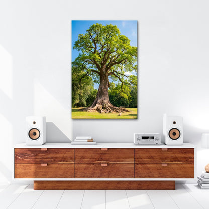 Leinwandbild Ein majestätischer Baum, fest verwurzelt im Licht. - deyoli