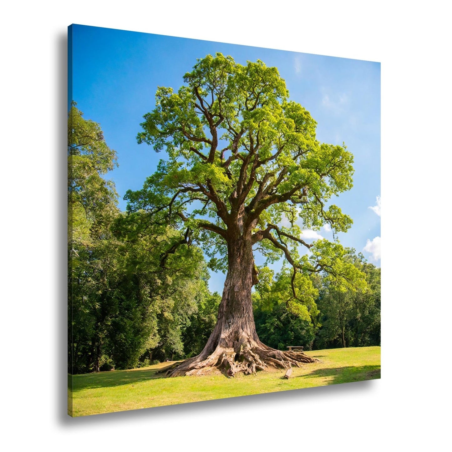 Leinwandbild Ein majestätischer Baum, fest verwurzelt im Licht. - deyoli