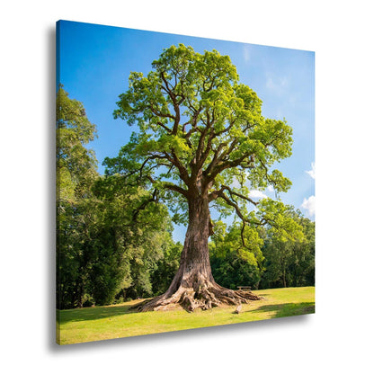 Leinwandbild Ein majestätischer Baum, fest verwurzelt im Licht. - deyoli