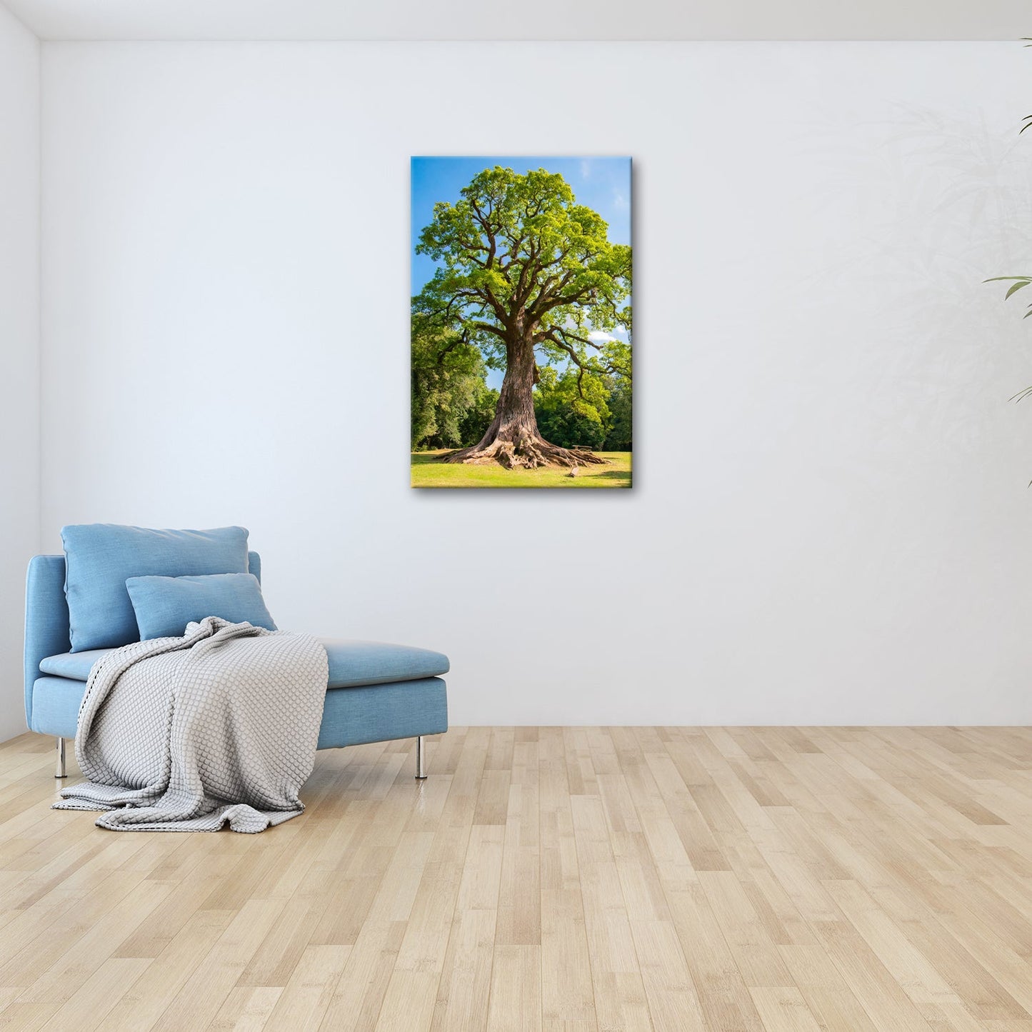 Leinwandbild Ein majestätischer Baum, fest verwurzelt im Licht. - deyoli