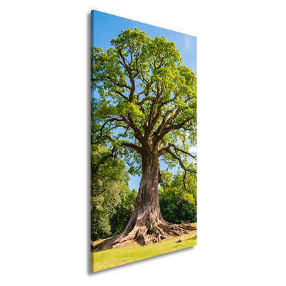 Leinwandbild Ein majestätischer Baum, fest verwurzelt im Licht. - deyoli