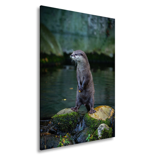 Leinwandbild Ein Otter in Pose – wachsam und voller natürlicher Anmut. - deyoli