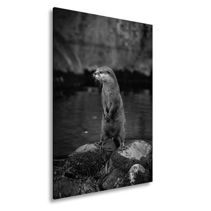 Leinwandbild Ein Otter in Pose – wachsam und voller natürlicher Anmut. - deyoli
