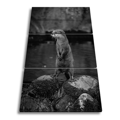 Leinwandbild Ein Otter in Pose – wachsam und voller natürlicher Anmut. - deyoli