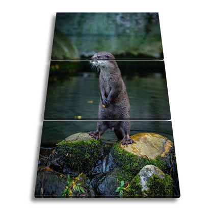 Leinwandbild Ein Otter in Pose – wachsam und voller natürlicher Anmut. - deyoli