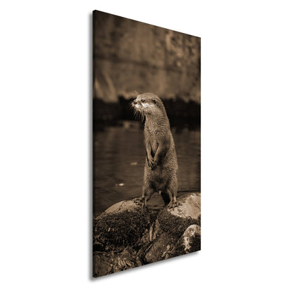 Leinwandbild Ein Otter in Pose – wachsam und voller natürlicher Anmut. - deyoli