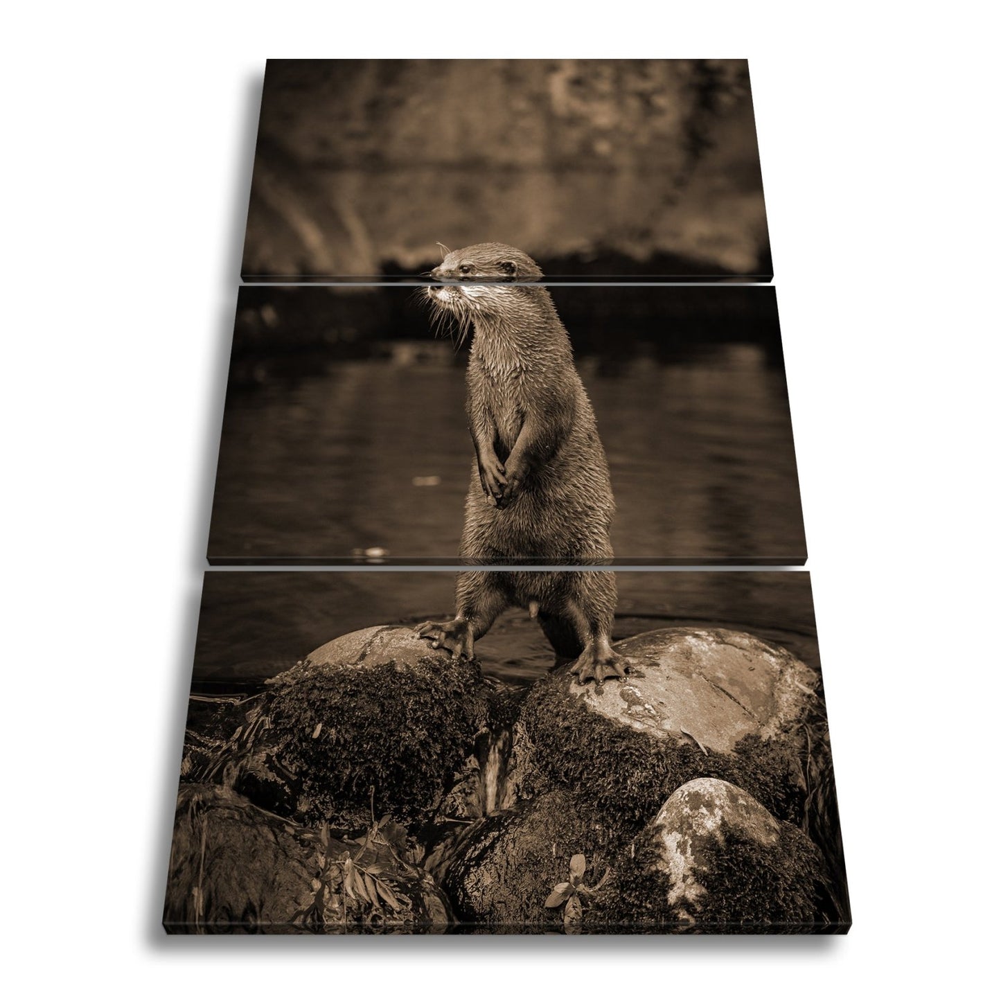 Leinwandbild Ein Otter in Pose – wachsam und voller natürlicher Anmut. - deyoli