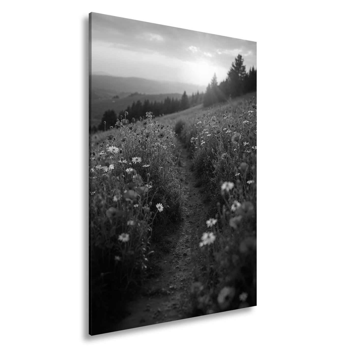 Leinwandbild Ein Pfad aus Licht durch ein Mohnblumenmeer im Abendgold. - deyoli