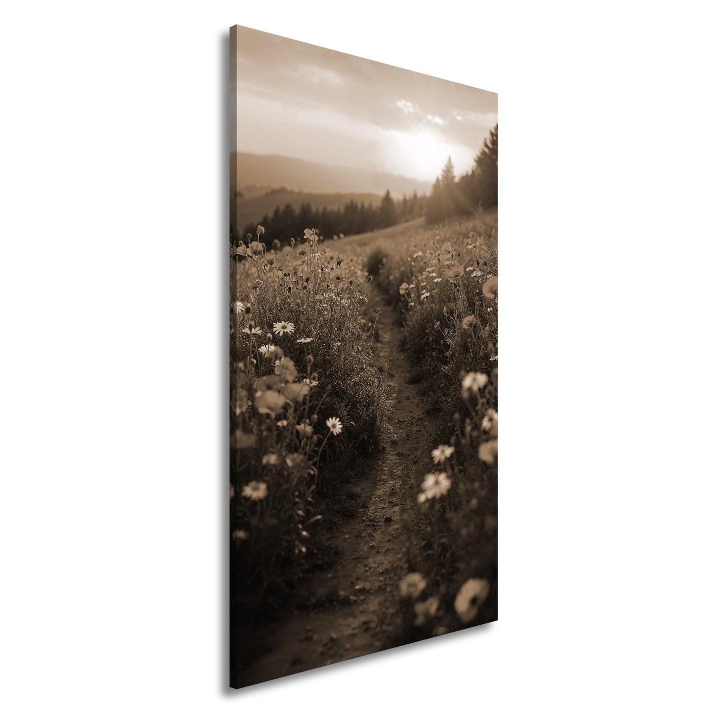 Leinwandbild Ein Pfad aus Licht durch ein Mohnblumenmeer im Abendgold. - deyoli
