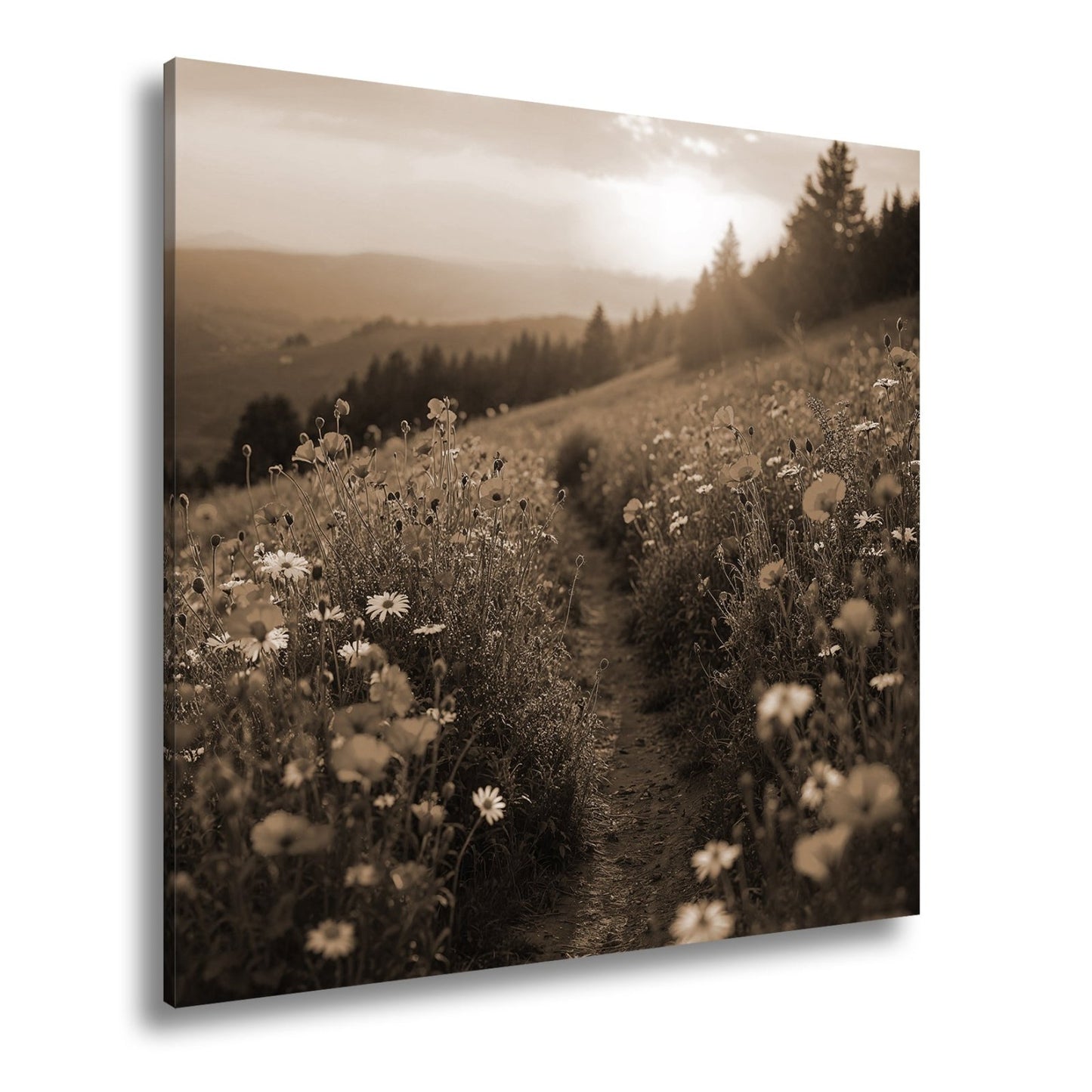 Leinwandbild Ein Pfad aus Licht durch ein Mohnblumenmeer im Abendgold. - deyoli