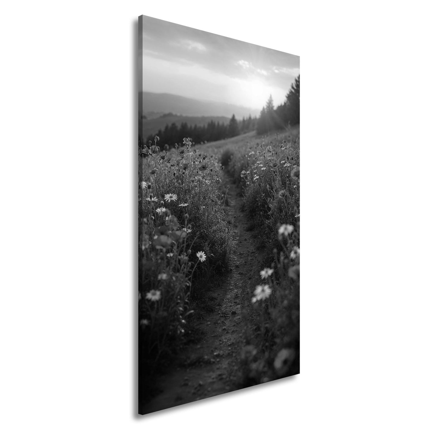 Leinwandbild Ein Pfad aus Licht durch ein Mohnblumenmeer im Abendgold. - deyoli