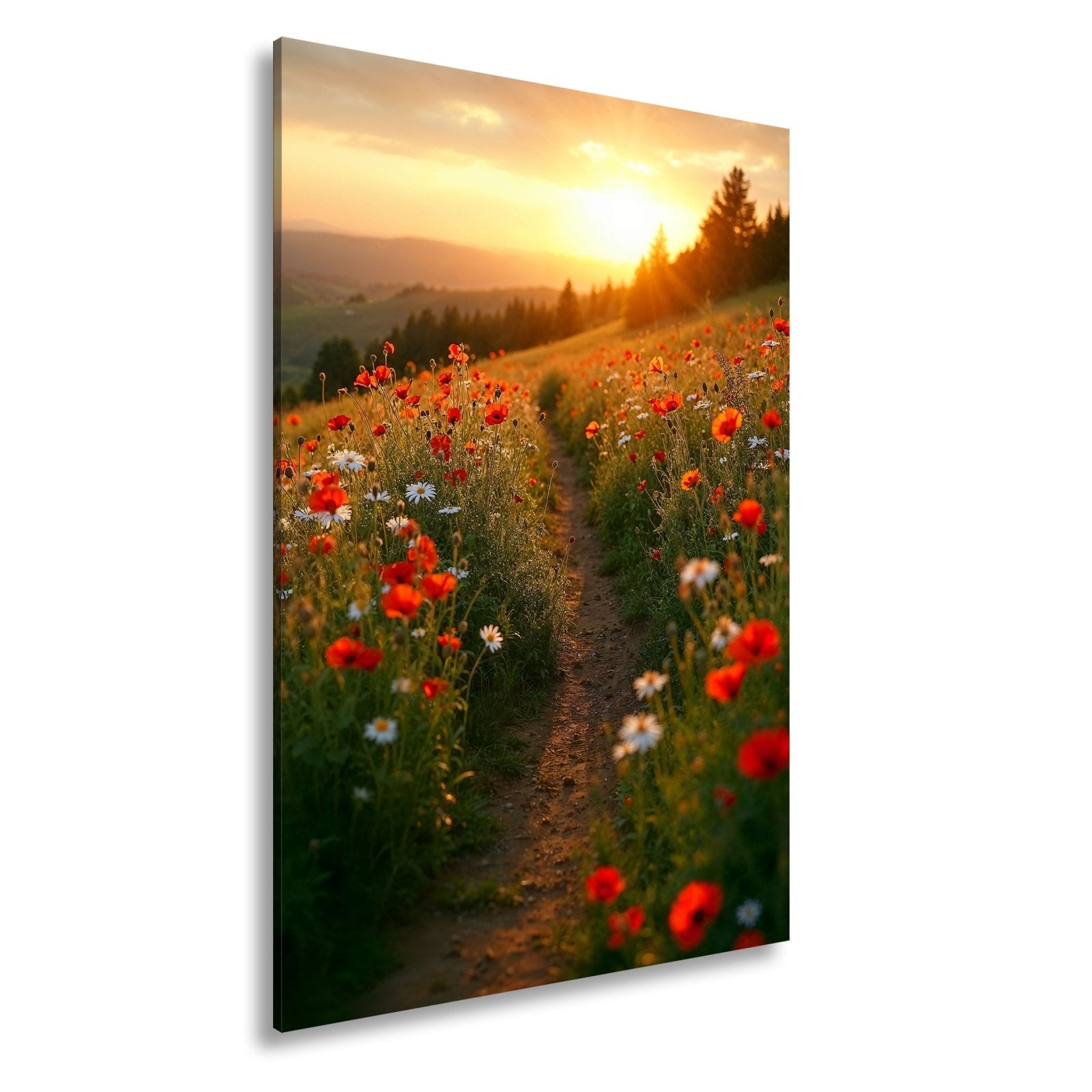 Leinwandbild Ein Pfad aus Licht durch ein Mohnblumenmeer im Abendgold. - deyoli