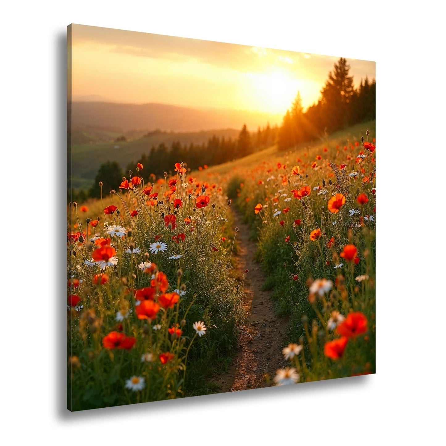 Leinwandbild Ein Pfad aus Licht durch ein Mohnblumenmeer im Abendgold. - deyoli