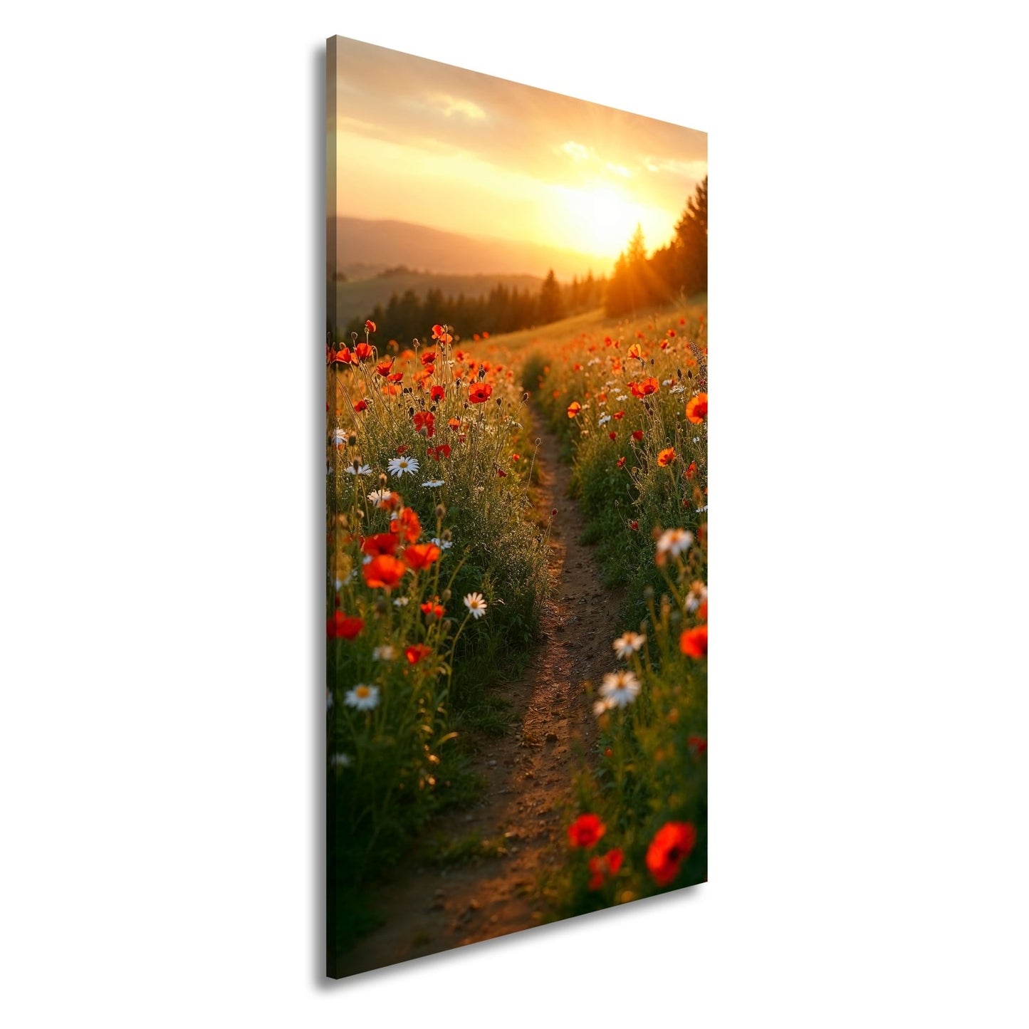 Leinwandbild Ein Pfad aus Licht durch ein Mohnblumenmeer im Abendgold. - deyoli
