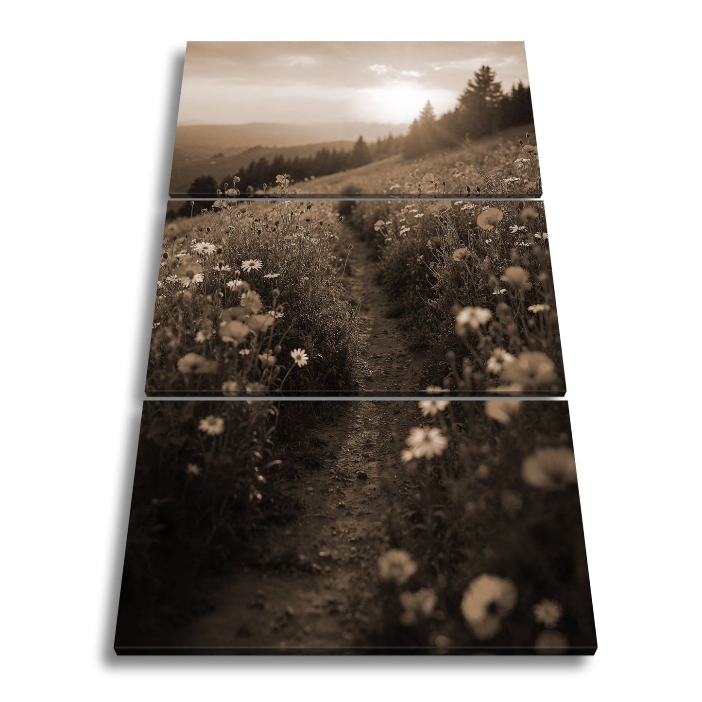 Leinwandbild Ein Pfad aus Licht durch ein Mohnblumenmeer im Abendgold. - deyoli