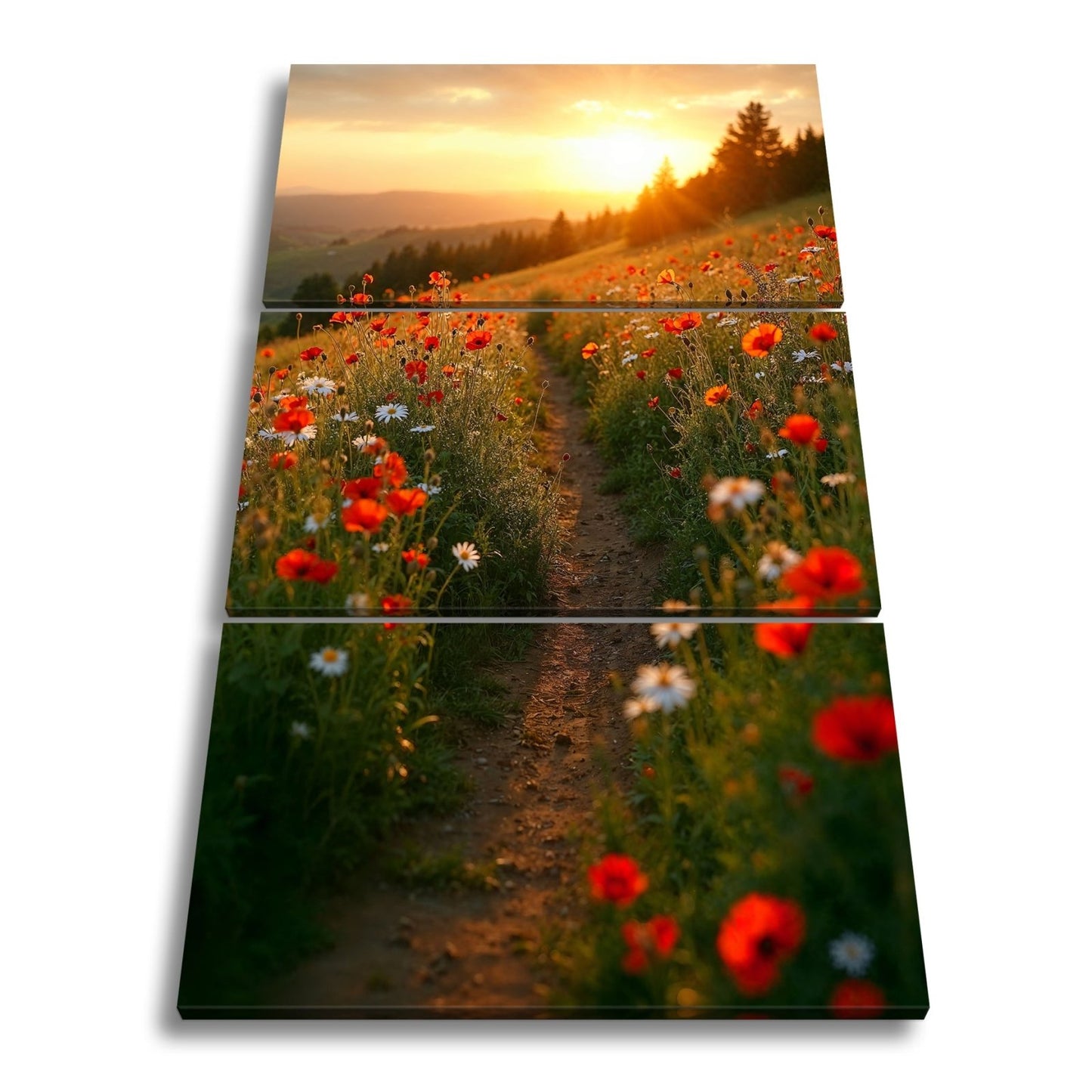 Leinwandbild Ein Pfad aus Licht durch ein Mohnblumenmeer im Abendgold. - deyoli