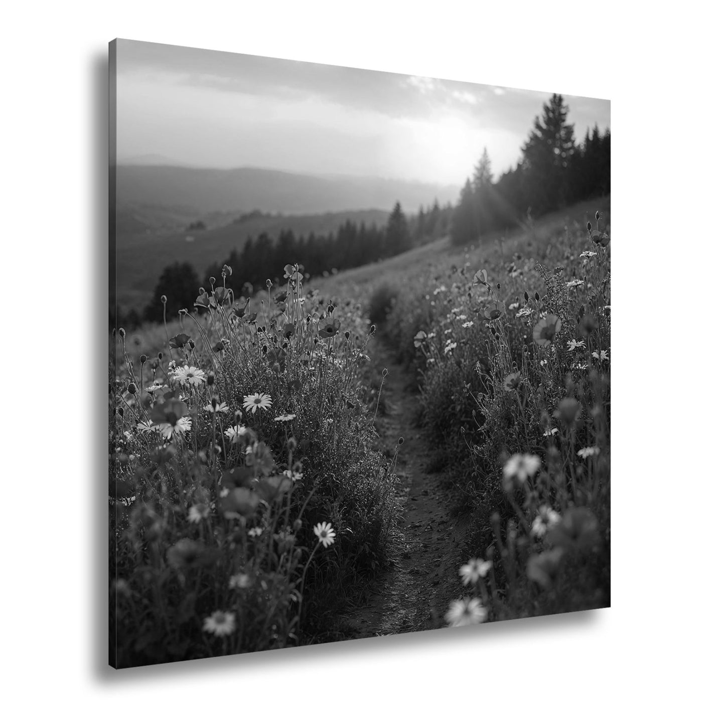 Leinwandbild Ein Pfad aus Licht durch ein Mohnblumenmeer im Abendgold. - deyoli
