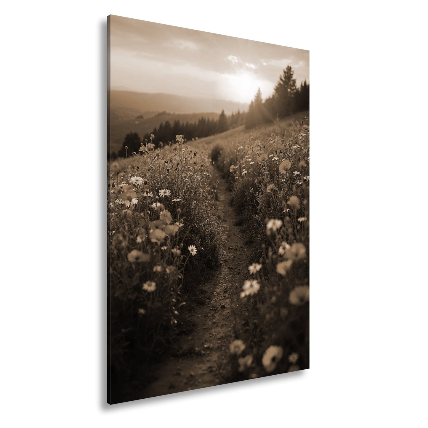 Leinwandbild Ein Pfad aus Licht durch ein Mohnblumenmeer im Abendgold. - deyoli