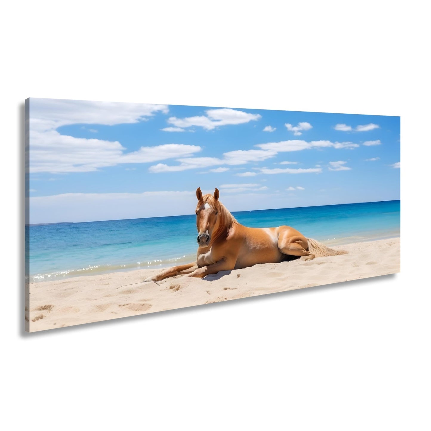 Leinwandbild Ein Pferd ruht am Meer – Gelassenheit in goldener Sonne - deyoli