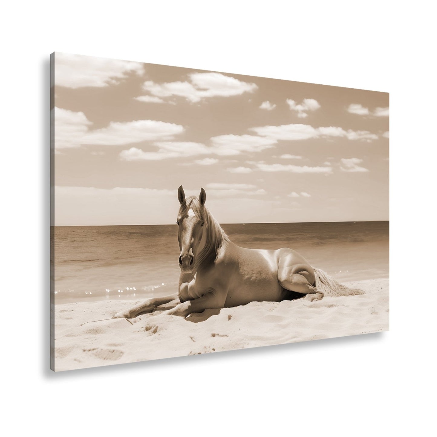 Leinwandbild Ein Pferd ruht am Meer – Gelassenheit in goldener Sonne - deyoli