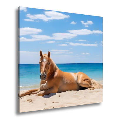 Leinwandbild Ein Pferd ruht am Meer – Gelassenheit in goldener Sonne - deyoli