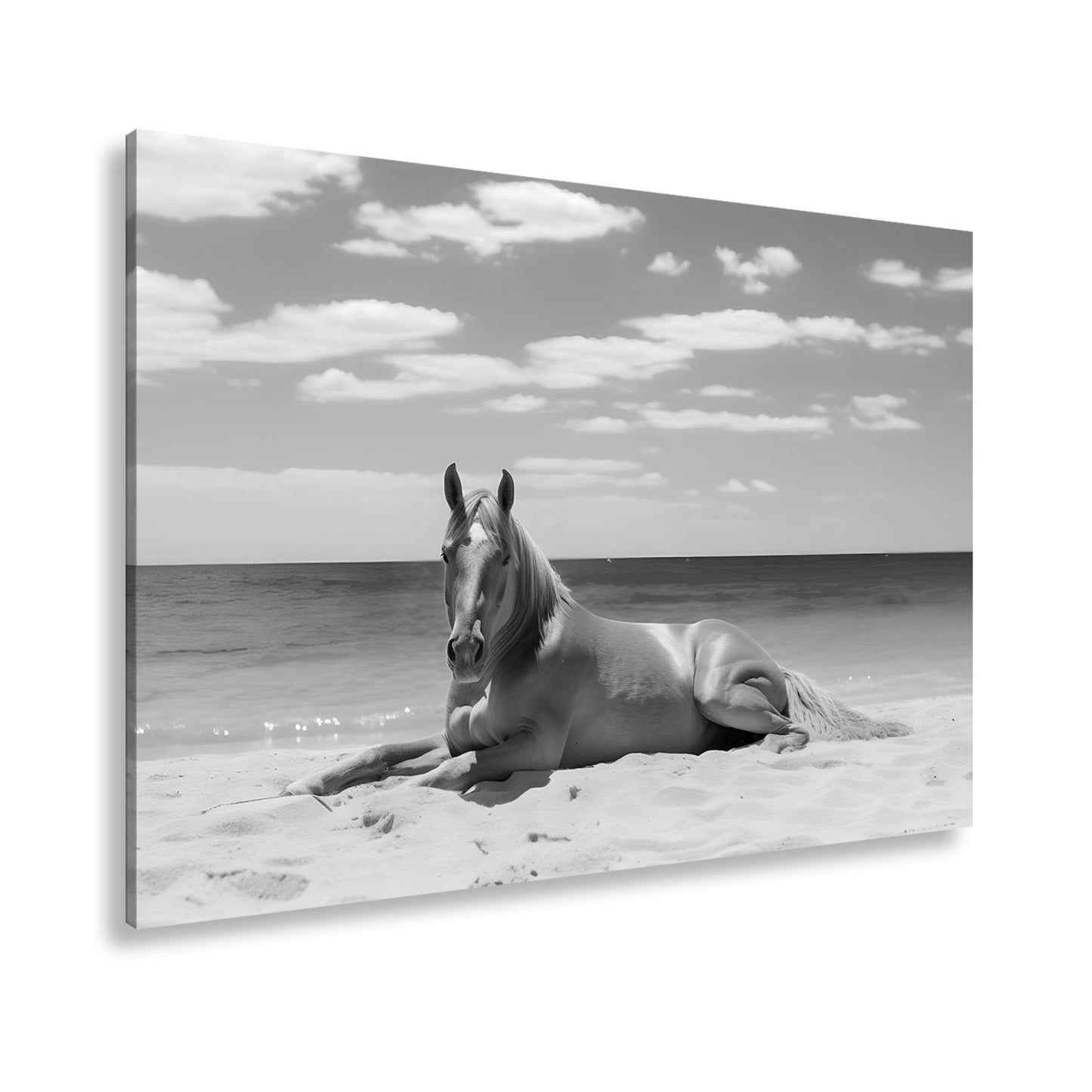 Leinwandbild Ein Pferd ruht am Meer – Gelassenheit in goldener Sonne - deyoli