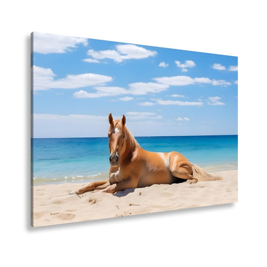 Leinwandbild Ein Pferd ruht am Meer – Gelassenheit in goldener Sonne - deyoli