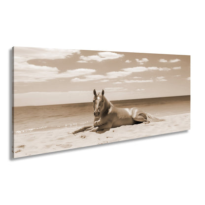 Leinwandbild Ein Pferd ruht am Meer – Gelassenheit in goldener Sonne - deyoli