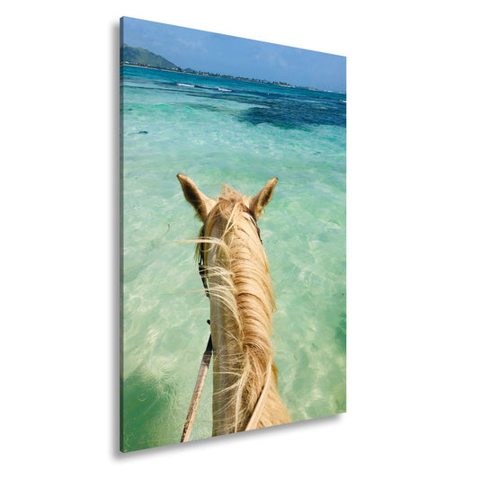 Leinwandbild Ein Pferderücken blickt still aufs türkisfarbene Meer. - deyoli