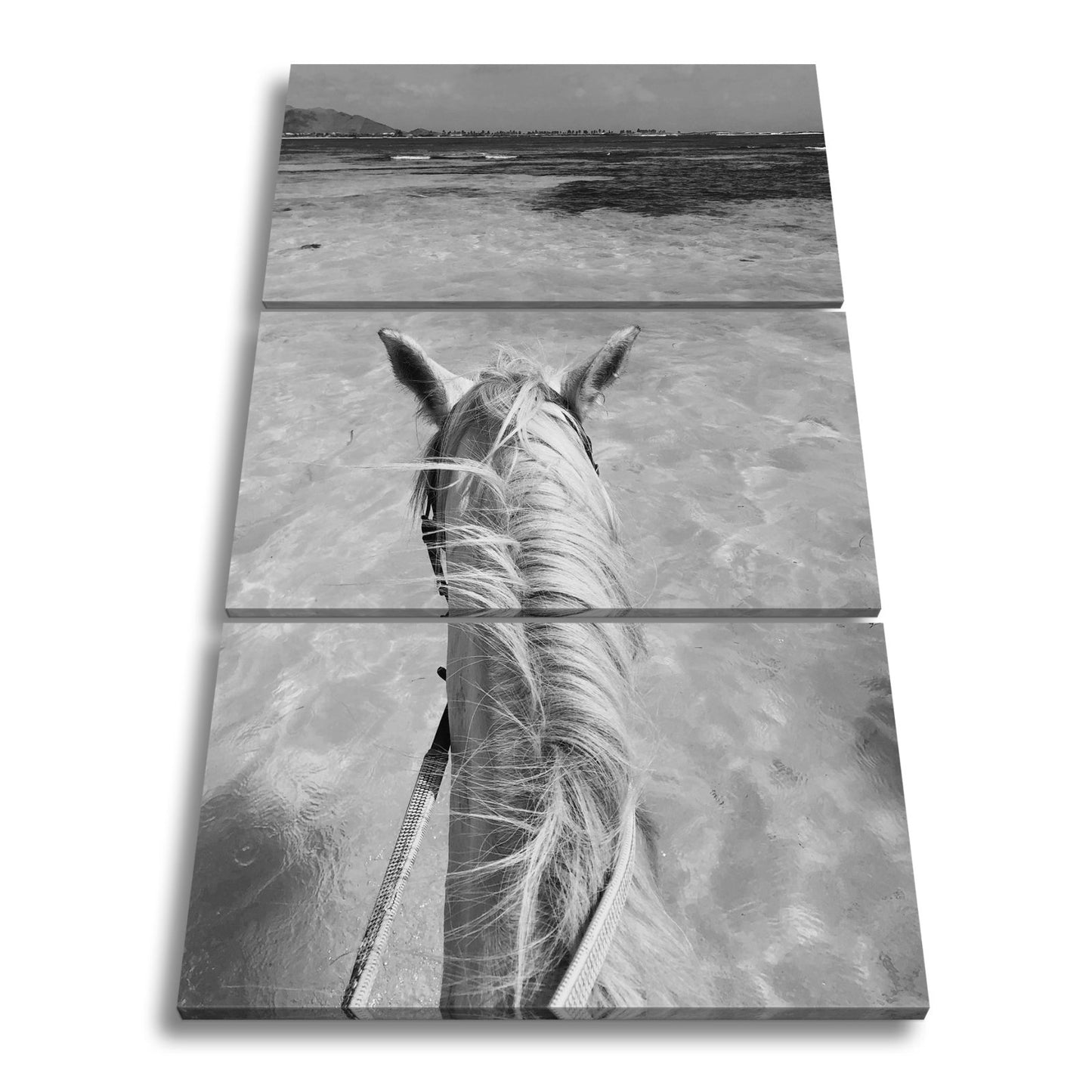 Leinwandbild Ein Pferderücken blickt still aufs türkisfarbene Meer. - deyoli