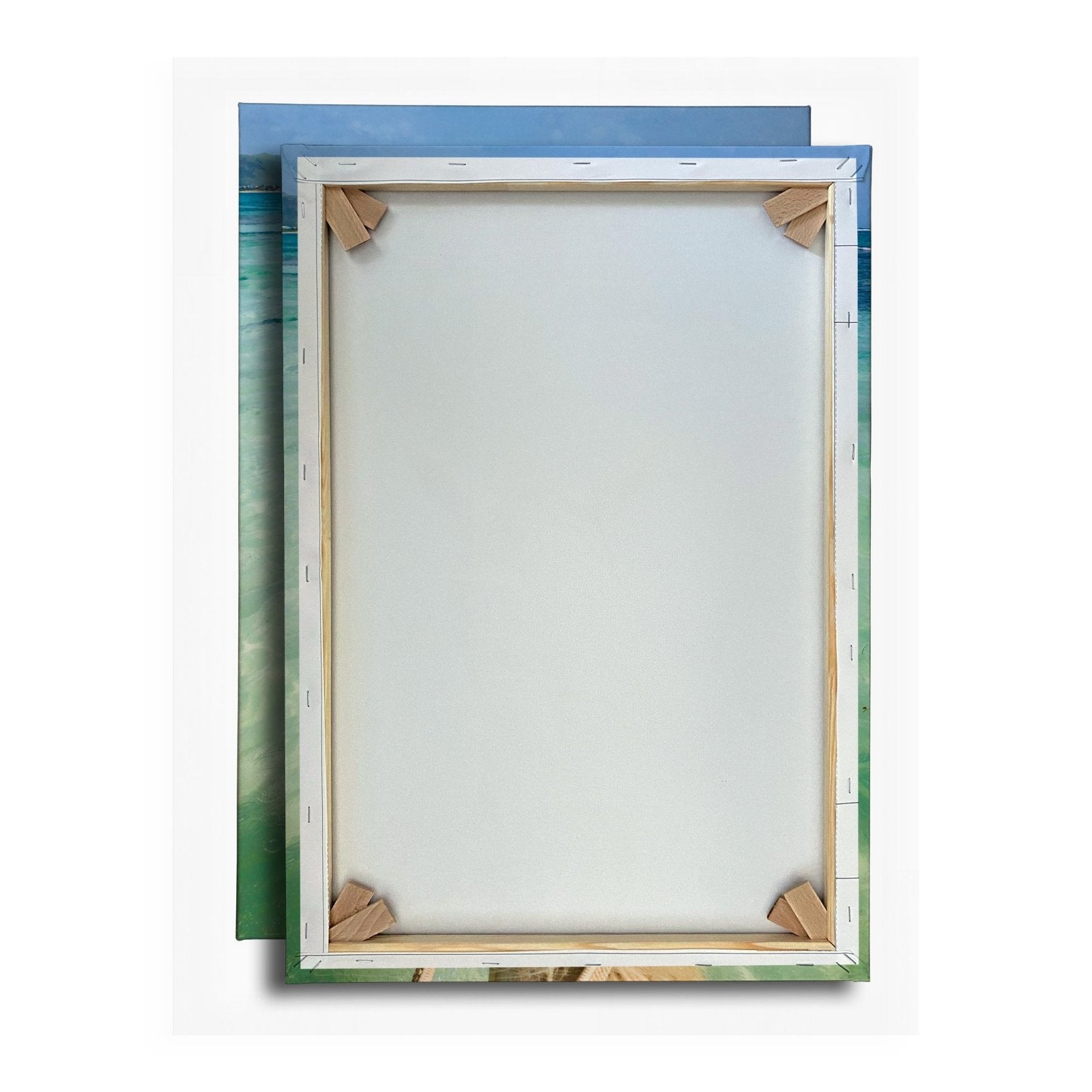 Leinwandbild Ein Pferderücken blickt still aufs türkisfarbene Meer. - deyoli