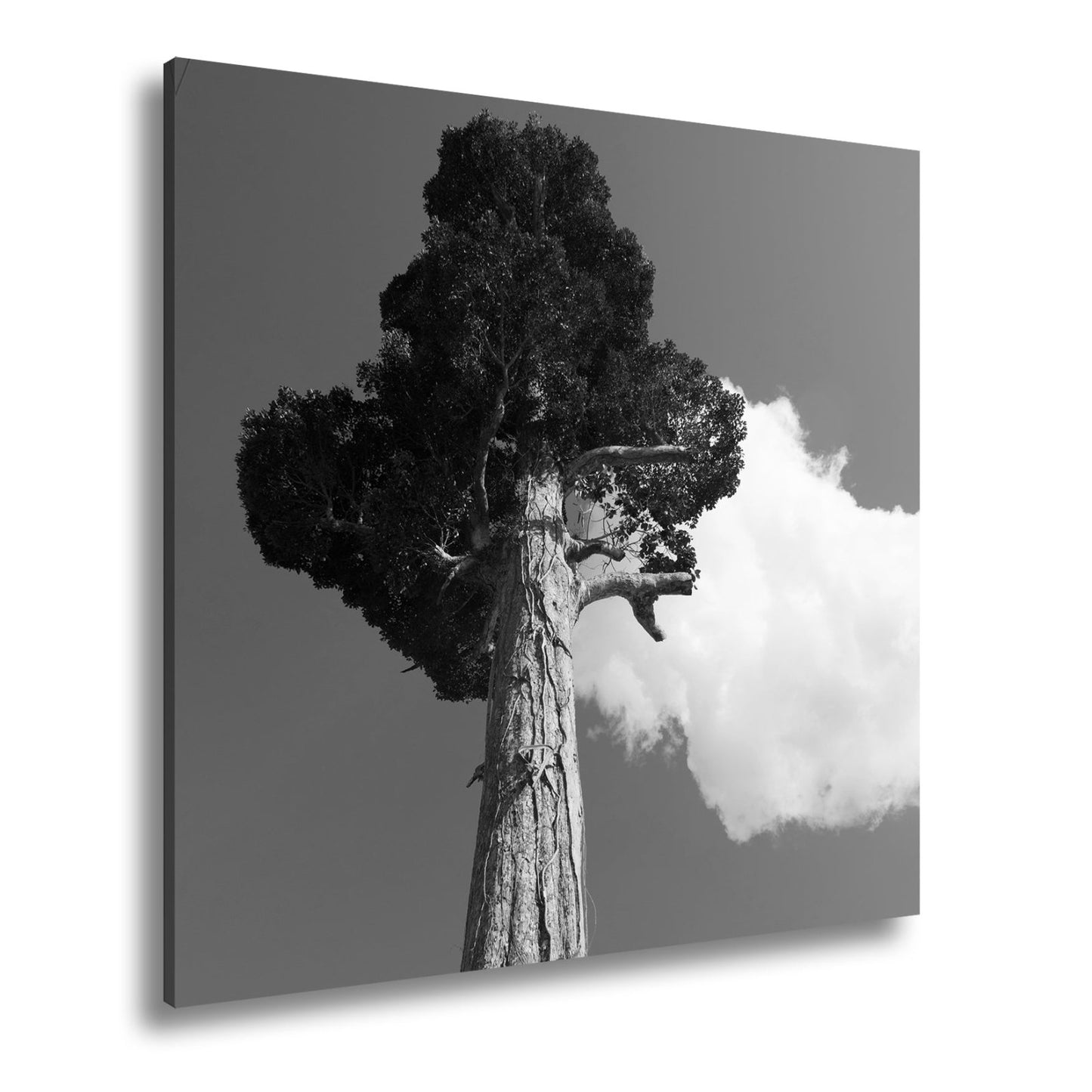 Leinwandbild Ein Riese aus Holz streckt sich in den Himmel. - deyoli