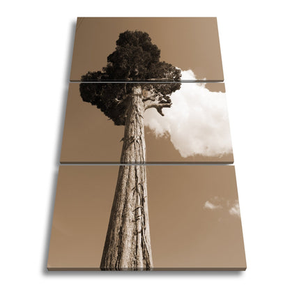Leinwandbild Ein Riese aus Holz streckt sich in den Himmel. - deyoli